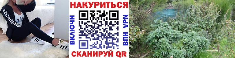 Все наркотики Калязин Амфетамин  Меф мяу мяу  Галлюциногенные грибы  СК  ГАШИШ 