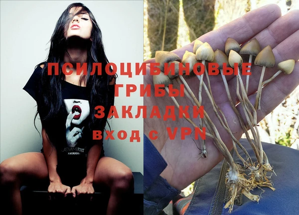 эйфоретик Вяземский