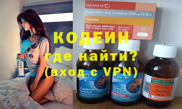 эйфоретик Вяземский
