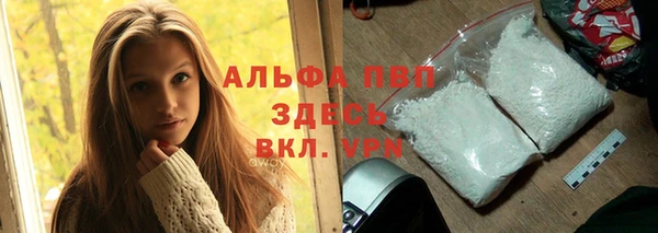 эйфоретик Вяземский