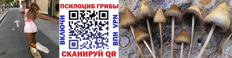 Псилоцибиновые грибы GOLDEN TEACHER  магазин    кракен tor  Калязин 